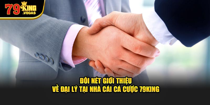 Đôi nét giới thiệu về đại lý tại nhà cái cá cược 79KING